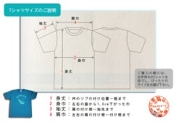 画像3: 新潟デザインTシャツ
