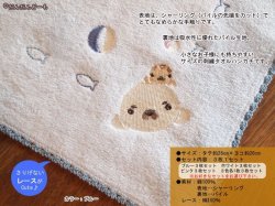 画像3: タオルハンカチあざらし3枚セット