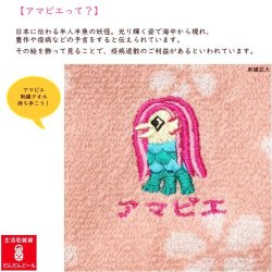 画像2: 刺繍タオルハンカチ／アマビエ・あまびえ