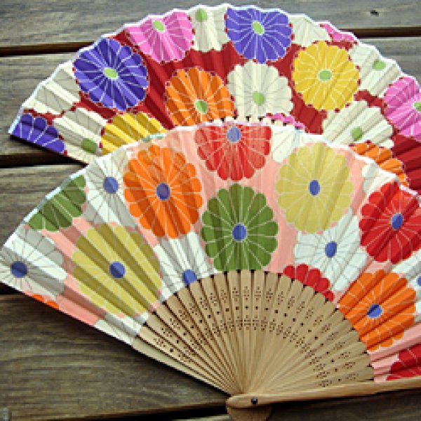 画像2: 菊の花模様 シフォン扇子  (2)